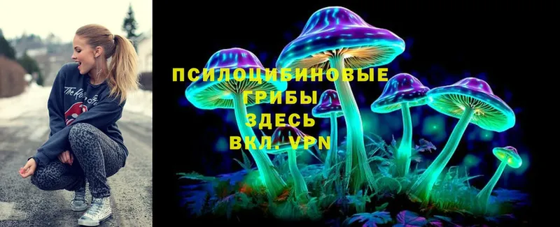 Галлюциногенные грибы MAGIC MUSHROOMS  купить  сайты  Калач 